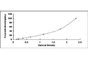 Typical standard curve (Aromatase ELISA 试剂盒)