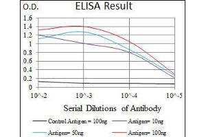 Black line: Control Antigen (100 ng), Purple line: Antigen(10 ng), Blue line: Antigen (50 ng), Red line: Antigen (100 ng), (Mesp2 抗体  (AA 37-94))