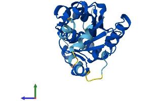 Protein Structure (PS) image for Phosphoserine Phosphatase (PSPH) (AA 1-225) protein (His tag) (ABIN7560385)