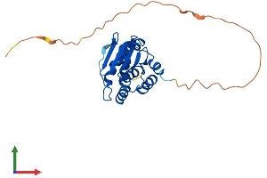 Protein Structure (PS) image for Dual Specificity Phosphatase 15 (DUSP15) (AA 1-235) protein (His tag) (ABIN7559768)
