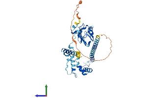 Protein Structure (PS) image for NudC Domain Containing 3 (NUDCD3) (AA 1-361) protein (His tag) (ABIN7549998)