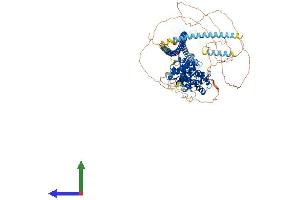 Protein Structure (PS) image for Liprin-beta-2 (PPFIBP2) (AA 1-876) protein (His tag) (ABIN7549045)
