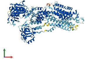 Protein Structure (PS) image for ATPase, Ca++ Transporting, Cardiac Muscle, Fast Twitch 1 (ATP2A1) (AA 1-1001) protein (His tag) (ABIN7552397)