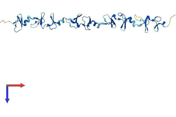 FHL5 Protein (AA 1-284) (His tag)