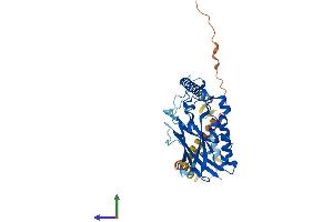 Protein Structure (PS) image for ATPase, Na+/K+ Transporting, beta 4 Polypeptide (ATP1B4) (AA 1-356) protein (His tag) (ABIN7560404)