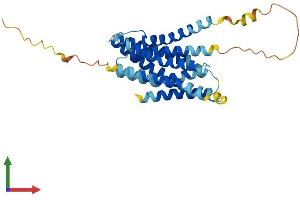 Protein Structure (PS) image for Solute Carrier Family 39 (Zinc Transporter), Member 1 (SLC39A1) (AA 1-324) protein (His tag) (ABIN7561806)