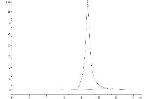 The purity of Mouse CD10 is greater than 95 % as determined by SEC-HPLC. (MME Protein (AA 52-750) (His tag))