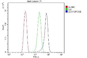 Flow Cytometry analysis of Hela cells using anti-SDHA antibody (ABIN7602753). (SDHA 抗体  (C-Term))