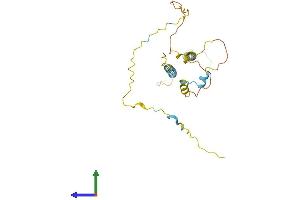 AlphaFold protein structure predicition of Human Recombinant TMEM51 Protein, UniprotID Q9NW97