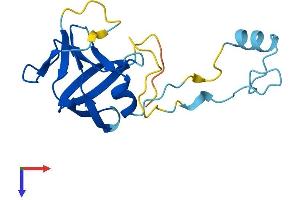 Protein Structure (PS) image for Endogenous Retrovirus Group K, Member 8 (ERVK-8) (AA 1-156) protein (His tag) (ABIN7545138)