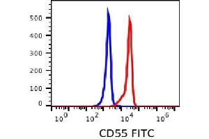 Flow Cytometry (FACS) image for anti-Complement Decay-Accelerating Factor (CD55) antibody (FITC) (ABIN3071833) (CD55 抗体  (FITC))