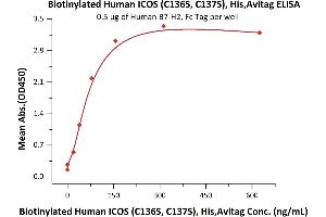 ELISA image for Inducible T-Cell Co-Stimulator (ICOS) (AA 21-141) (Active) protein (His tag,AVI tag,Biotin) (ABIN6731299)