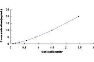 Typical standard curve (SATB1 ELISA 试剂盒)