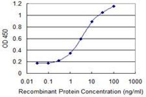 Detection limit for recombinant GST tagged PHF7 is 0. (PHF7 抗体  (AA 258-357))