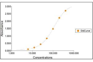 Standard Curve Graph (Albumin ELISA 试剂盒)