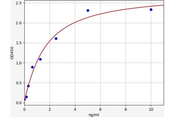 IRF8 ELISA 试剂盒