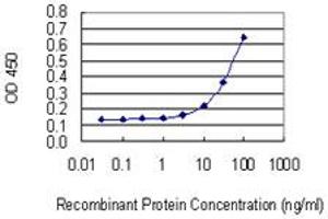 Detection limit for recombinant GST tagged PHACTR2 is 1 ng/ml as a capture antibody. (PHACTR2 抗体  (AA 56-143))