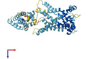 SLC25A23 Protein (AA 1-467) (His tag)