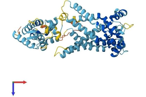 SLC25A23 Protein (AA 1-467) (His tag)