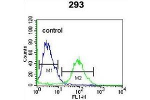 Flow Cytometry (FACS) image for anti-Olfactory Receptor, Family 4, Subfamily F, Member 15 (OR4F15) (AA 76-105), (N-Term) antibody (ABIN953854)