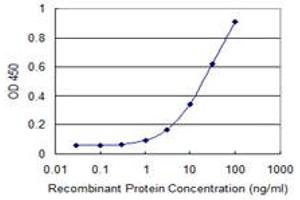 Detection limit for recombinant GST tagged TNIK is 0. (TNIK 抗体  (AA 1-110))