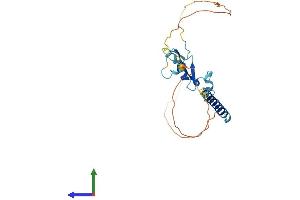 AlphaFold protein structure predicition of Mouse Recombinant Tnfrsf13b Protein, UniprotID Q9ET35