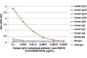ELISA analysis of Human IgG2 monoclonal antibody, clone RM118  at the following concentrations: 0. (兔 anti-人 Immunoglobulin Heavy Constant gamma 2 (G2m Marker) (IGHG2) Antibody (Biotin))