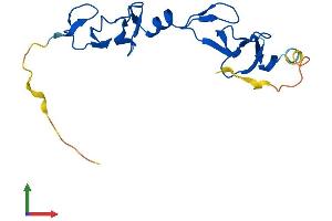 AlphaFold protein structure predicition of Mouse Recombinant Lmo4 Protein, UniprotID P61969 (LMO4 Protein (AA 1-165) (His tag))