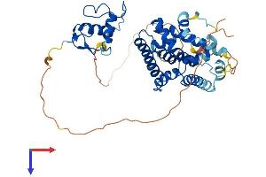 NR2F6 Protein (AA 1-404) (His tag)