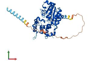 Protein Structure (PS) image for Carbohydrate Sulfotransferase 10 (CHST10) (AA 1-356) protein (His tag) (ABIN7553375)