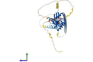 Protein Structure (PS) image for ADP-Ribosylation Factor-Like 13B (ARL13B) (AA 1-427) protein (His tag) (ABIN7563978)
