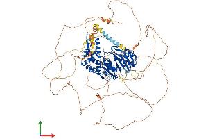 Protein Structure (PS) image for DENN/MADD Domain Containing 1A (DENND1A) (AA 1-1009) protein (His tag) (ABIN7553690)