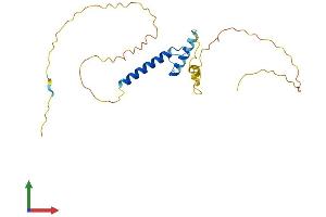 Protein Structure (PS) image for Transcription Factor 23 (TCF23) (AA 1-214) protein (His tag) (ABIN7544390)