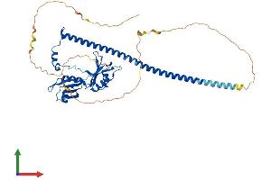 Protein Structure (PS) image for Non-POU Domain Containing, Octamer-Binding (NONO) (AA 1-471) protein (His tag) (ABIN7554782)