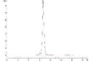 The purity of Human EpCAM is greater than 95 % as determined by SEC-HPLC.