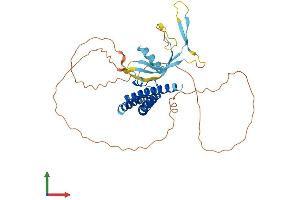 Protein Structure (PS) image for Elongation Factor RNA Polymerase II-Like 3 (ELL3) (AA 1-395) protein (His tag) (ABIN7564275)