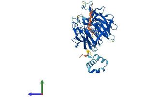 Protein Structure (PS) image for Kelch Domain Containing 2 (KLHDC2) (AA 1-406) protein (His tag) (ABIN7557382)