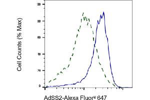 Validation of AdSS2 knockdown using flow cytometry. (Recombinant AdSS 2 抗体)