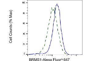 Validation of BRMS1 knockdown using flow cytometry.