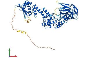 Protein Structure (PS) image for BTB (POZ) Domain Containing 1 (BTBD1) (AA 1-482) protein (His tag) (ABIN7552710)