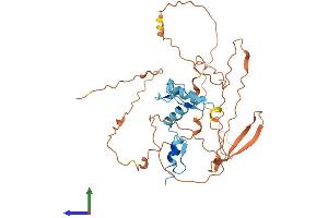 Protein Structure (PS) image for Kruppel-Like Factor 8 (KLF8) (AA 1-355) protein (His tag) (ABIN7558743)