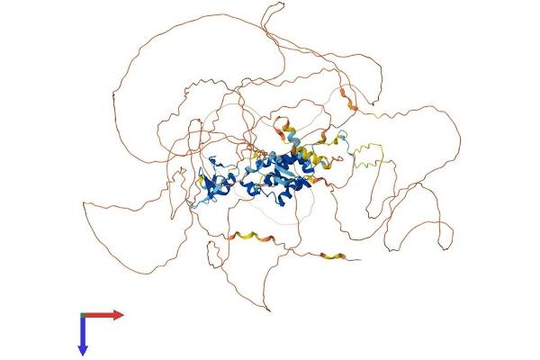 TOPORS Protein (AA 1-1045) (His tag)