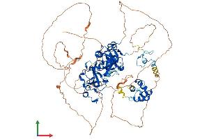 AlphaFold protein structure predicition of Mouse Recombinant L3mbtl1 Protein, UniprotID A2A5N8