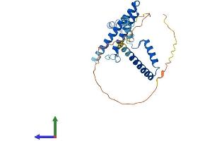 Protein Structure (PS) image for Mediator Complex Subunit 8 (MED8) (AA 1-268) protein (His tag) (ABIN7549284)