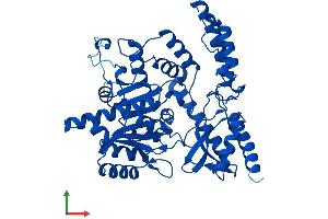 Protein Structure (PS) image for Dopa Decarboxylase (Aromatic L-Amino Acid Decarboxylase) (DDC) (AA 1-480) protein (His tag) (ABIN7547081)
