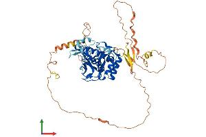 Protein Structure (PS) image for Suppressor of Variegation 4-20 Homolog 2 (SUV420H2) (AA 1-468) protein (His tag) (ABIN7558093)