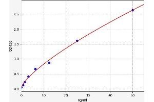 Typical standard curve (KMO ELISA 试剂盒)