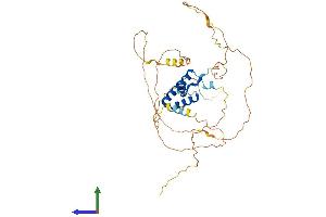 Protein Structure (PS) image for Transcription Factor 7 (T-Cell Specific, HMG-Box) (TCF7) (AA 1-384) protein (His tag) (ABIN7544271)