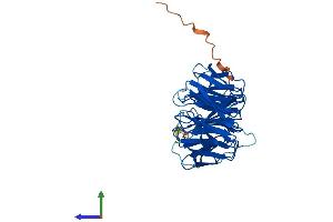 Protein Structure (PS) image for Small Nuclear Ribonucleoprotein 40kDa (U5) (SNRNP40) (AA 1-358) protein (His tag) (ABIN7558055)