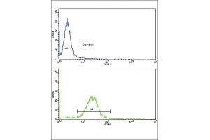Flow Cytometry (FACS) image for anti-Epsin 3 (EPN3) antibody (ABIN3002666) (EPN3 抗体)